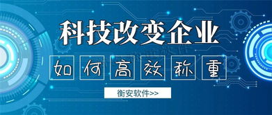衡安称重软件 赋能周口荷花面粉厂实现网络化智能流程管控